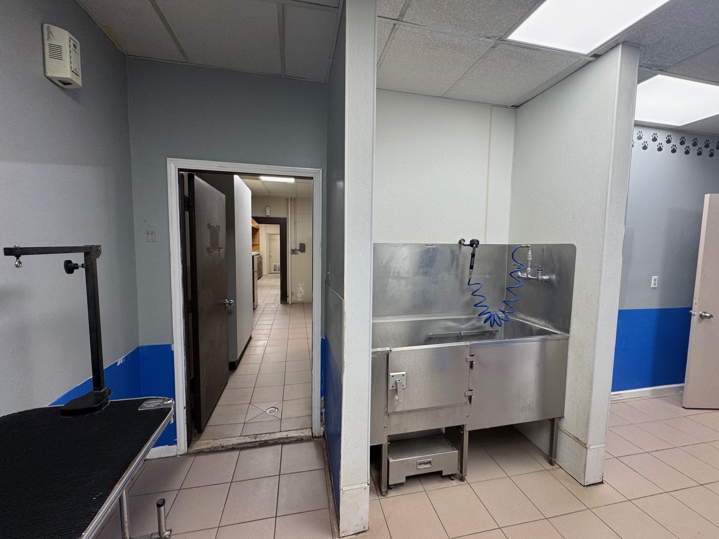 Grooming room with stainless tub